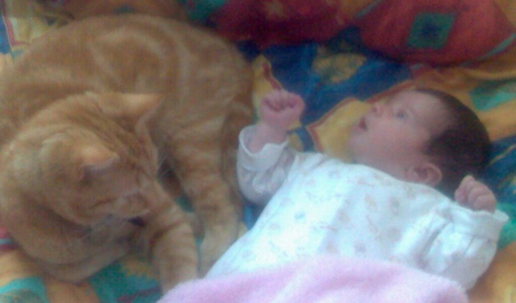 A ginger cat lies on a colourful patterned blanket next to a baby in white pyjamas. The baby looks at the cat with a surprised expression, one hand raised in the air. The scene appears soft and cosy, with a pink cloth partially visible in the foreground.