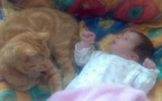 A ginger cat lies on a colourful patterned blanket next to a baby in white pyjamas. The baby looks at the cat with a surprised expression, one hand raised in the air. The scene appears soft and cosy, with a pink cloth partially visible in the foreground.