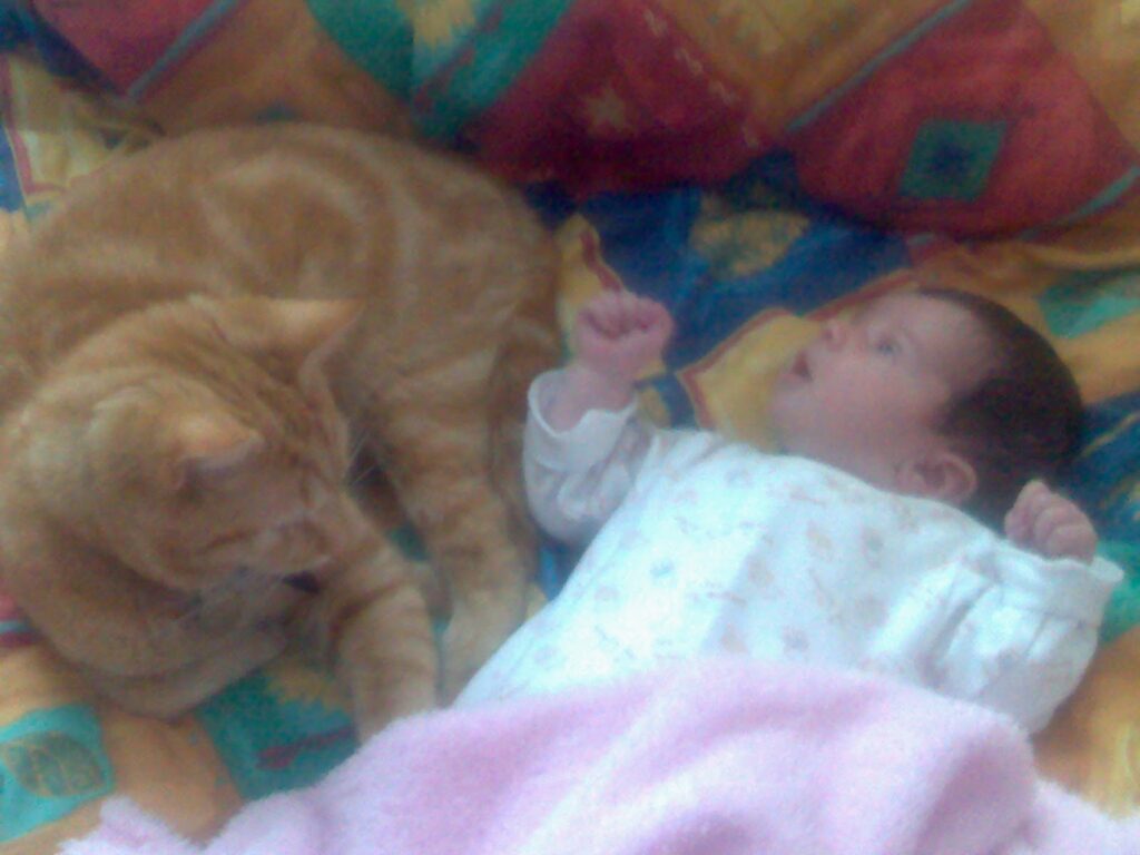 A ginger cat lies next to a baby on a colourful, patterned blanket. The cat is curled up, facing the baby, while the baby, dressed in light pyjamas, looks at the cat with wide eyes and raised arms. The scene appears cosy and gentle.