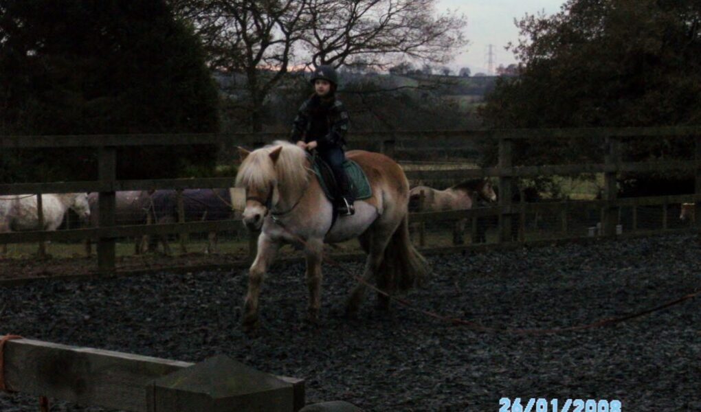 A child wearing a helmet and jacket rides a light brown and white horse in an outdoor fenced riding arena. Trees and other horses are visible in the background. The image is dark, and the date “26/01/2008” appears in the lower right corner.