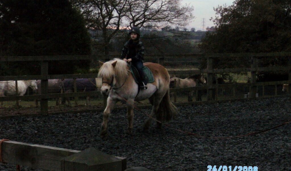 A child wearing a helmet and jacket rides a light brown and white horse in an outdoor fenced riding arena. Trees and other horses are visible in the background. The image is dark, and the date “26/01/2008” appears in the lower right corner.