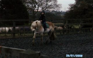 A child wearing a helmet and jacket rides a light brown and white horse in an outdoor fenced riding arena. Trees and other horses are visible in the background. The image is dark, and the date “26/01/2008” appears in the lower right corner.