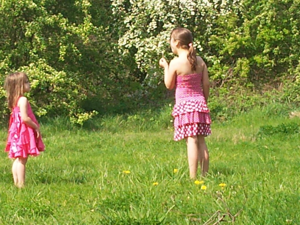 Two young girls stand on green grass with yellow flowers, surrounded by leafy trees. Both wear pink dresses; the girl on the right has plaited hair and faces away, while the other faces her. Sunlight brightens the vibrant, outdoor setting.