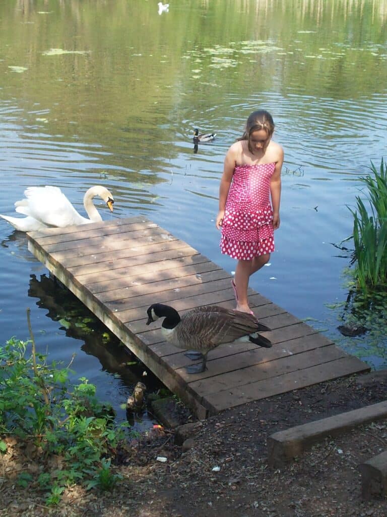 A young girl in a pink polka-dot dress stands barefoot on a wooden jetty over a pond. A Canada goose is on the jetty in front of her, while a white swan swims nearby. The scene is bright and peaceful, surrounded by greenery and water plants.