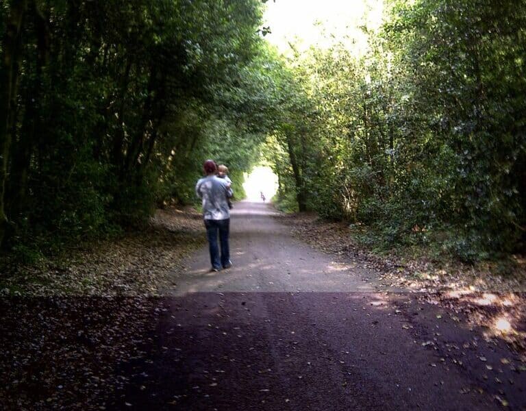 A person in jeans and a patterned shirt walks down a paved forest path, surrounded by dense green trees arching overhead. The person appears to be carrying a child. Sunlight brightens the path ahead, creating a tunnel effect through the foliage.