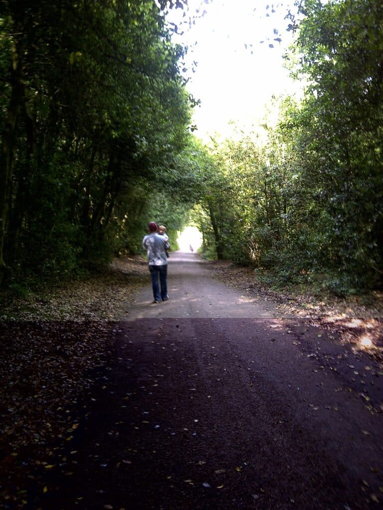 A person walks down a quiet, tree-lined path with a child on their shoulders. Dense green foliage forms a canopy overhead, creating a tunnel effect. Sunlight brightens the path ahead, whilst the foreground remains shaded.