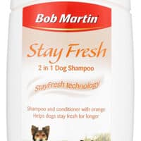 A white bottle of Bob Martin Stay Fresh 2 in 1 Dog Shampoo with an orange cap. The label shows three playful dogs on grass, and text highlights shampoo and conditioner with orange, helping dogs stay fresh for longer.