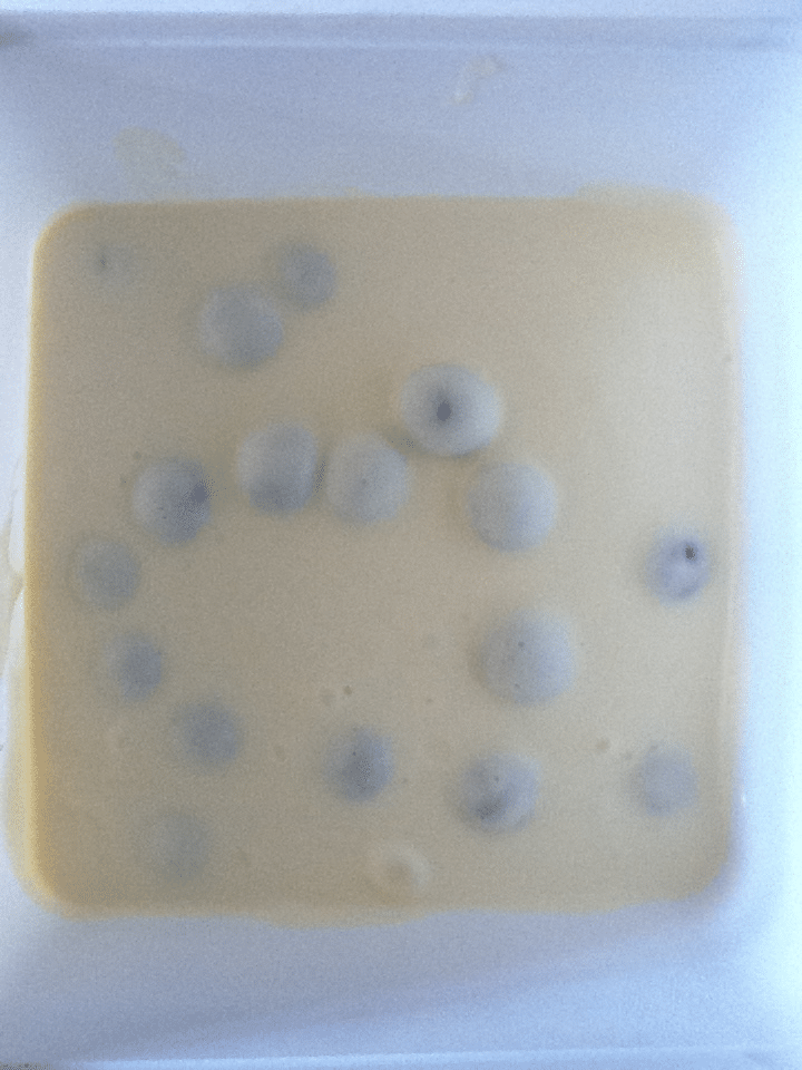 A close-up of a square, white container filled with a smooth, pale yellow liquid. Several round, bluish-purple objects, likely blueberries, are partially submerged and randomly arranged within the liquid. The edges of the container are slightly visible.