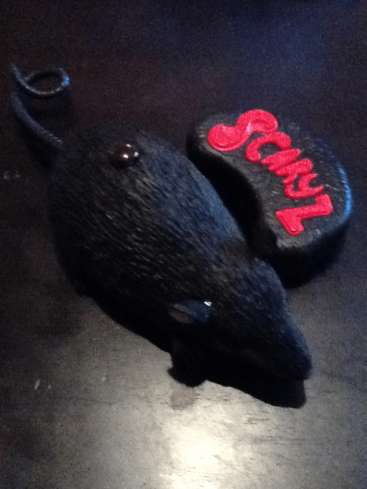 A black rat figurine sits next to a black rock painted with the word "SCARY" in large, bright red letters. Both objects rest on a dark wooden surface.