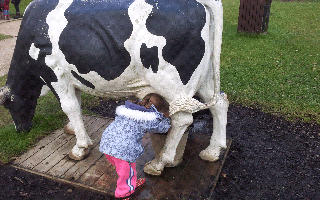 A child wearing a blue jacket, pink trousers, and red wellies pretends to milk a life-size black and white cow statue outdoors. The child’s head is under the cow’s belly, and the scene is on a wooden platform with grass and people in the background.