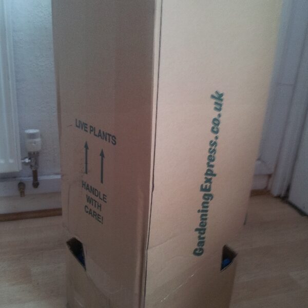 A tall cardboard box stands upright on a wooden floor near a wall and radiator. The box is labelled "LIVE PLANTS" with arrows pointing up, "HANDLE WITH CARE!", and “GardeningExpress.co.uk” in green text along one side.