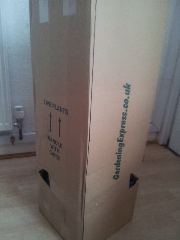 A tall cardboard box stands upright on a wooden floor near a wall and radiator. The box is labelled "LIVE PLANTS" with arrows pointing up, "HANDLE WITH CARE!", and “GardeningExpress.co.uk” in green text along one side.