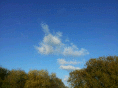 A bright blue sky with a few white, fluffy clouds. The main cloud is shaped somewhat like a rabbit or hare. Green trees line the bottom edge of the image, their tops slightly covering the sky. The scene appears calm and sunny.