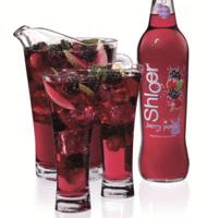 A bottle of Shloer Berry Punch stands beside a clear jug and two glasses, all filled with red berry drink, ice cubes, and mixed berries. The drink has visible slices of fruit and appears chilled and refreshing.