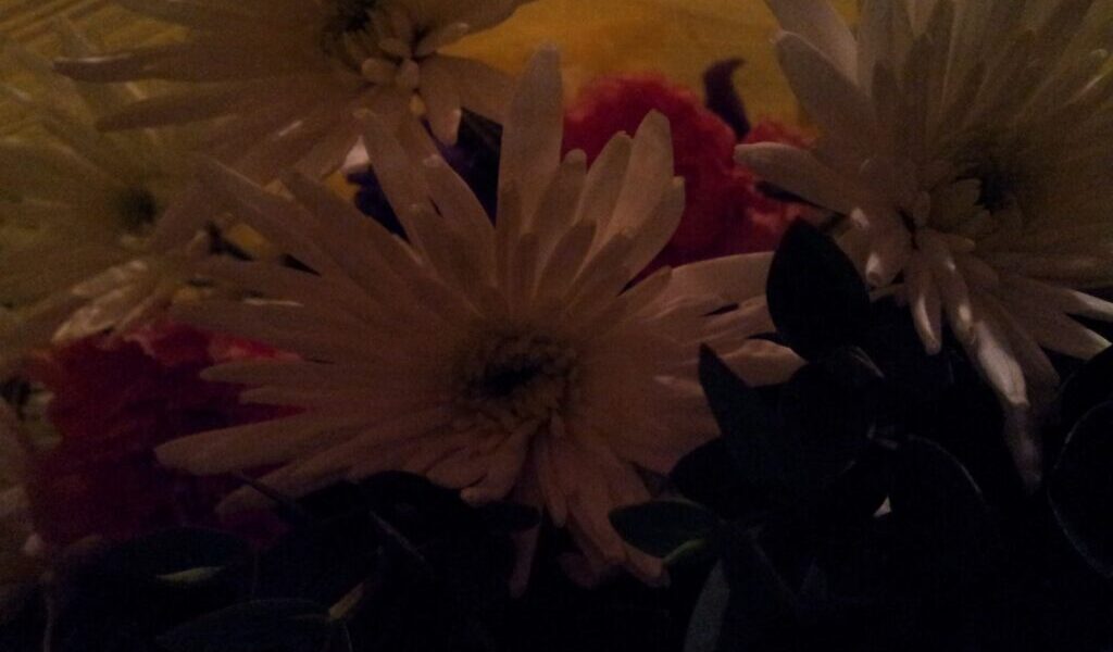 A dimly lit close-up of a bouquet features white flowers with thin petals, dark green leaves, and hints of red and purple flowers blurred in the background. The overall image has low visibility due to the lighting.
