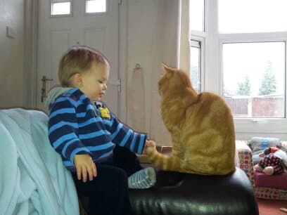 A toddler in a blue striped hoodie sits on a dark sofa, gently holding the paw of a ginger tabby cat sitting beside him. Sunlight streams through large windows in the background, and toys are visible on the floor.