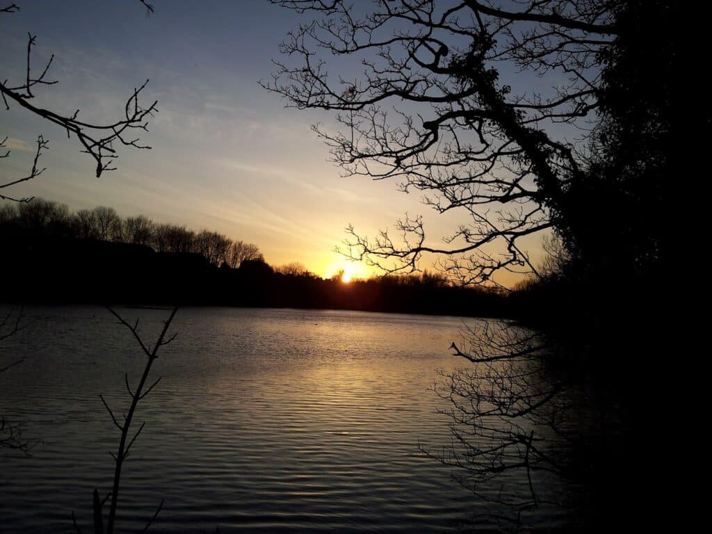 A peaceful lake at sunset with golden sunlight reflecting off the water. Leafless tree branches frame the scene in the foreground, whilst a silhouette of trees lines the horizon beneath a soft, colourful sky.