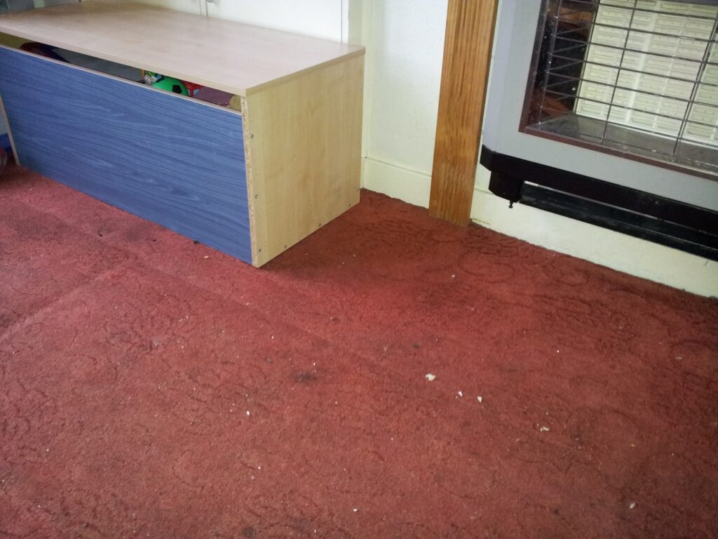 A red carpeted floor with visible stains and debris. On the left is a wooden storage bench with a blue front panel, partially open with toys inside. On the right, part of a gas heater with a metal grille and wooden trim is visible against a white wall.