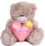 A fluffy brown teddy bear sits upright, holding a pink heart with stitching details and a small yellow star attached. The bear has a light blue nose and a soft, cuddly appearance.