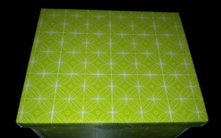 A rectangular box with a lid is shown against a dark background. The box is lime green and features a repeating pattern of white intersecting circles and lines, forming a geometric design across the surface.