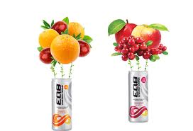 Two cans of energy drink with fruit bouquets coming out of the tops. The left can has oranges and cranberries; the right can has apples and cranberries. The background is white, making the colourful fruits and cans stand out.