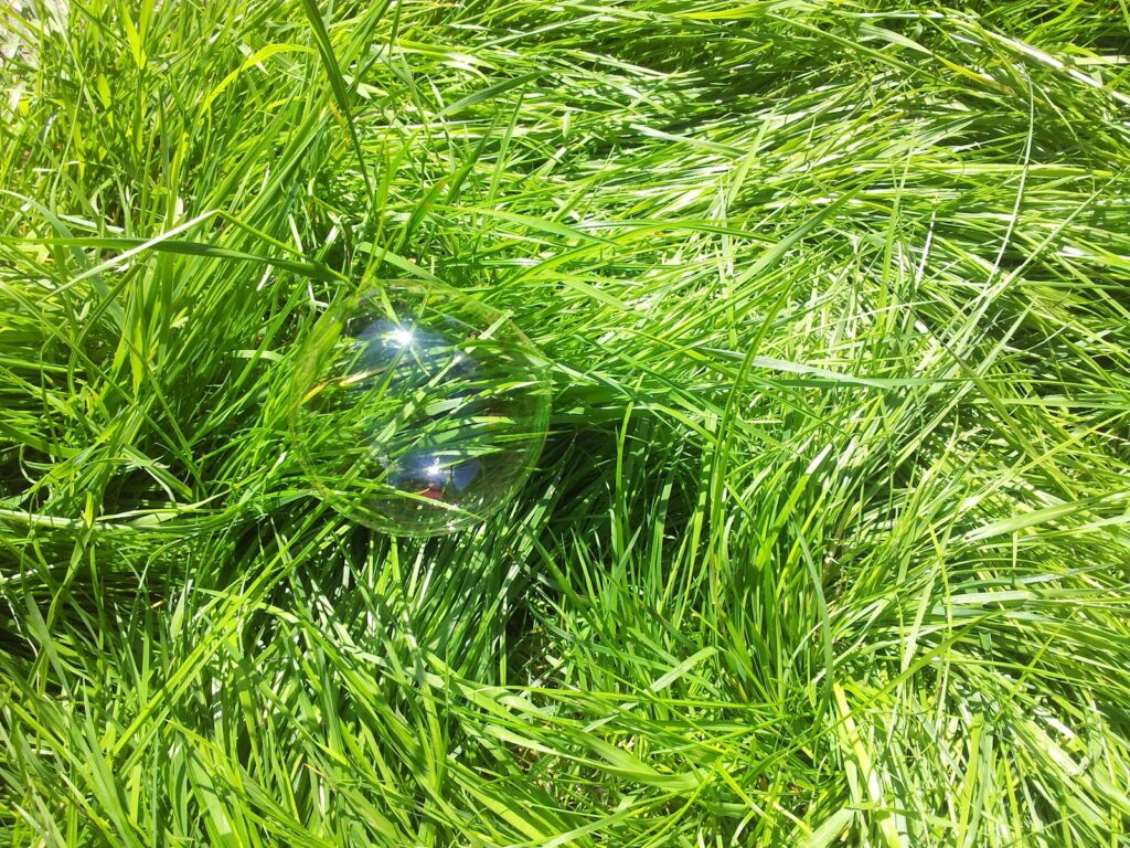 A single soap bubble rests on bright green grass, reflecting sunlight and surrounding colours. The grass blades are long, lush, and tangled, creating a vibrant, natural background for the delicate, transparent bubble.