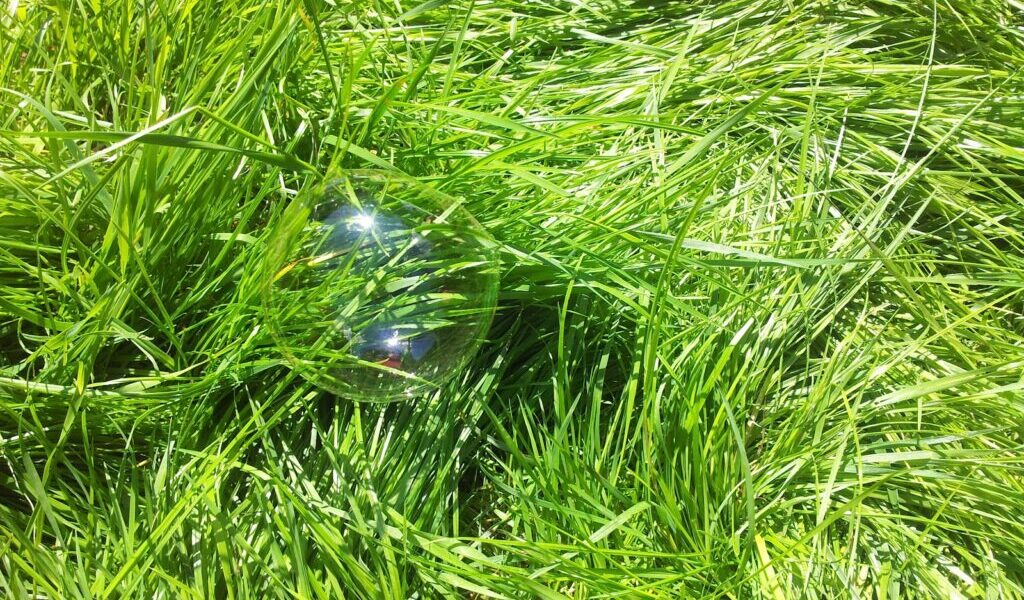 A single soap bubble rests on thick, bright green grass. The bubble reflects light and subtle colours, blending in with the surrounding blades. Sunlight highlights the vivid, fresh grass, creating a lively, natural scene.