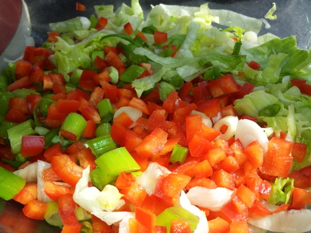 A close-up of a colourful salad featuring chopped lettuce, diced red peppers, and sliced spring onions, all mixed together in a clear bowl with bright sunlight highlighting the freshness of the vegetables.
