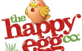 A cartoon chicken stands above bold, red text reading "happy egg" with green text "the" and "co." A tuft of green grass appears near "the." The chicken looks cheerful, with wings spread and a red comb. The design has a playful, hand-drawn style.