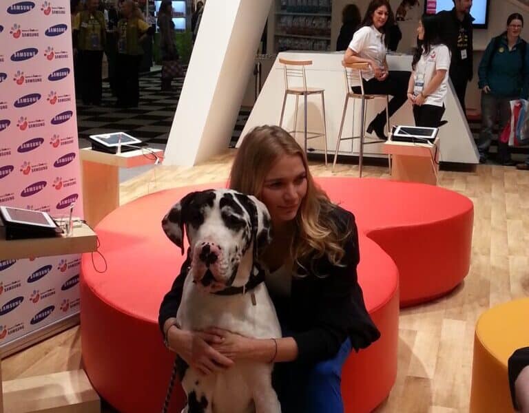 A blonde woman in a blue outfit kneels on a wooden floor, hugging a large black and white Great Dane. They are indoors at an event with red and orange round seats, promotional banners, and people in the background. Tablets are on the tables nearby.