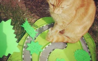 An orange cat sits on a green, toy racetrack outdoors. The track is decorated with several bright green paper cut-outs featuring smiling faces and starburst shapes. Grass and soil are visible around the play area.