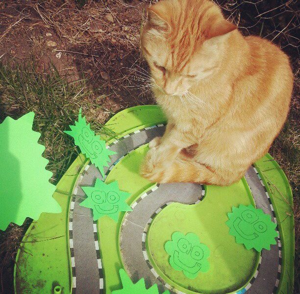 An orange cat sits on a green, toy racetrack outdoors. The track is decorated with several bright green paper cut-outs featuring smiling faces and starburst shapes. Grass and soil are visible around the play area.