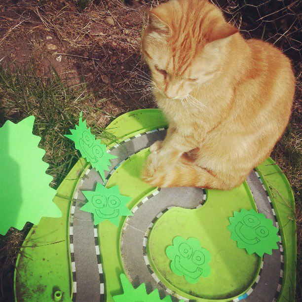 An orange cat sits on a green, toy racetrack outdoors. The track is decorated with several bright green paper cut-outs featuring smiling faces and starburst shapes. Grass and soil are visible around the play area.