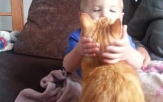 A young child sitting on a brown sofa holds the head of a ginger tabby cat and appears to be looking closely at or kissing the cat. A pink blanket is draped over the child’s lap, and a wooden door is visible in the background.