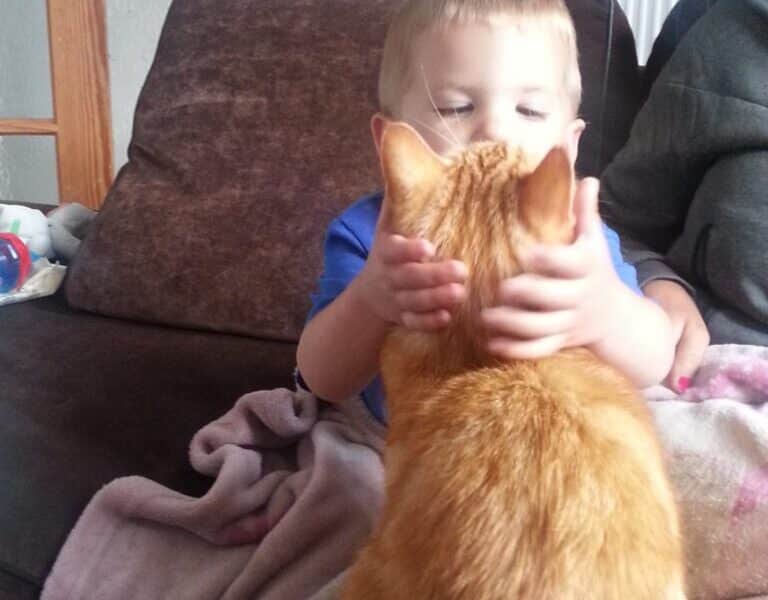 A young child sitting on a brown sofa holds the head of a ginger tabby cat and appears to be looking closely at or kissing the cat. A pink blanket is draped over the child’s lap, and a wooden door is visible in the background.