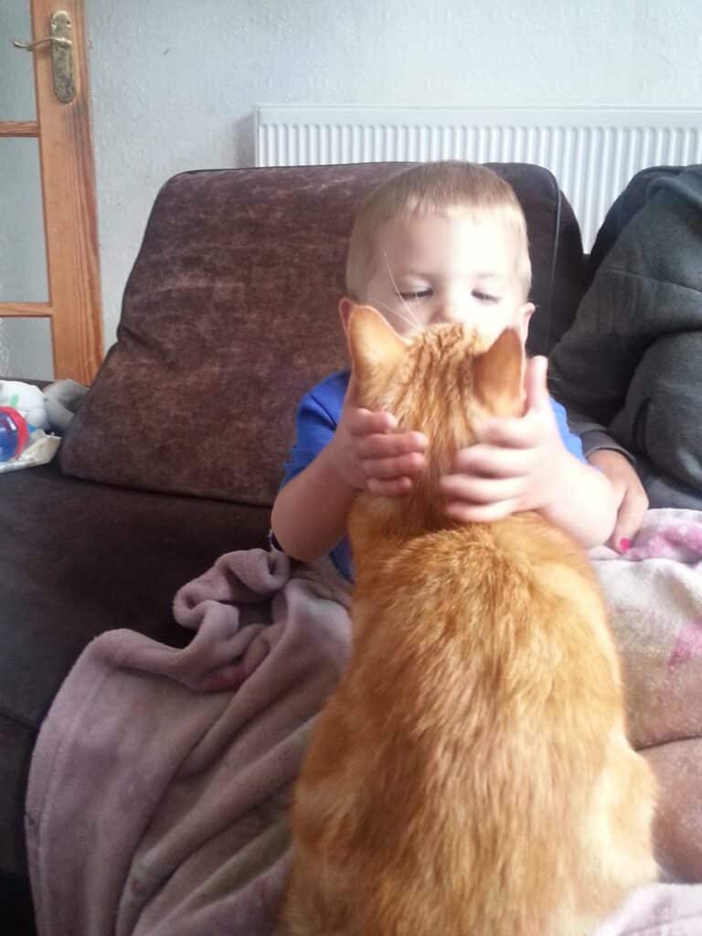 A young child sits on a sofa, gently holding an orange tabby cat's head close to their face. The cat faces away from the camera, and a pink blanket covers part of the child. The background includes a brown cushion and a wooden door.