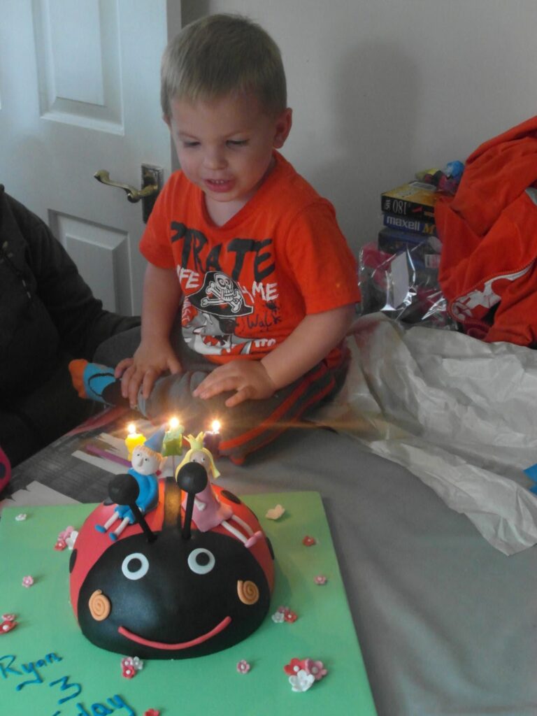 A young boy in an orange shirt sits on a table, smiling at a ladybird-shaped birthday cake with lit candles and figurines. There are small flower decorations on the cake and board, and colourful items and clothes in the background.