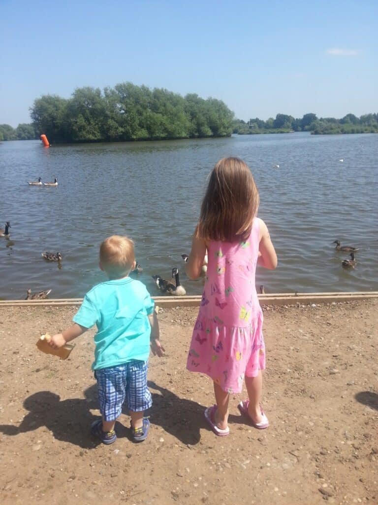 A young boy in blue clothing and a girl in a pink dress stand by a lake, feeding ducks. The lake has several ducks swimming, with green trees and a clear blue sky in the background. The ground is dry and sandy near the water’s edge.