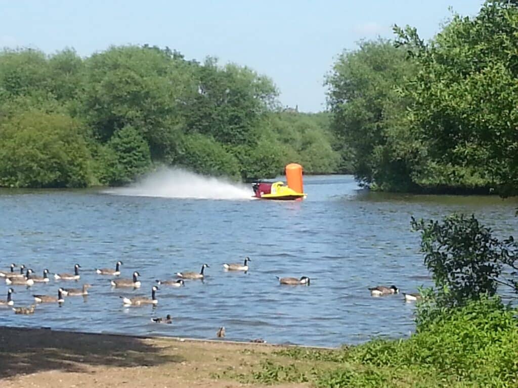 A small yellow and red speedboat with a large orange buoy creates a white spray as it speeds across a river surrounded by green trees. In the foreground, several ducks and geese float and stand near the water’s edge on a sunny day.