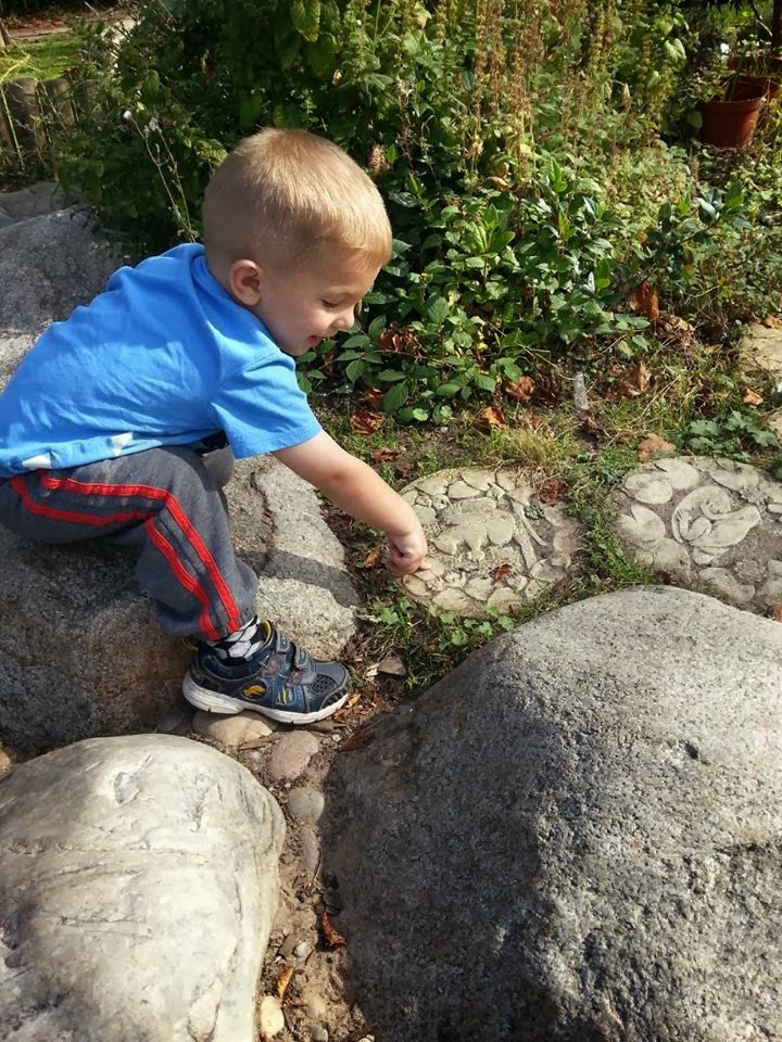 A young boy with short blond hair, wearing a blue shirt and dark trousers with red stripes, sits on a large rock in a garden. He leans forward, reaching down with one hand towards small plants growing between stones. Lush green foliage surrounds him.