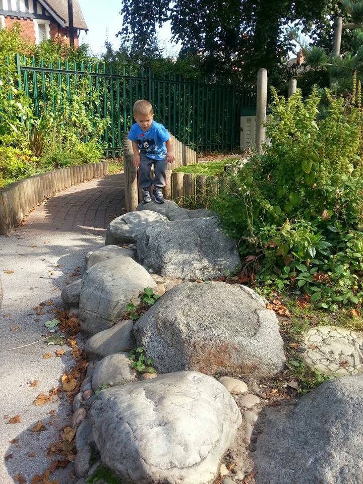 A young boy in a blue shirt and jeans stands on a wooden post next to large grey rocks in a garden. Green plants and trees surround him, and a green metal fence runs along the background. Sunlight casts shadows on the path and rocks.