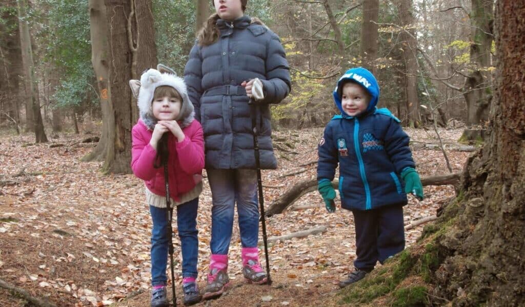 Three children stand in a forest with fallen leaves. Two girls, one in a pink jacket and cat hat, the other in a blue coat and maroon hat, hold walking sticks. A younger boy in a blue coat and gloves smiles, standing beside them. Tall trees surround them.