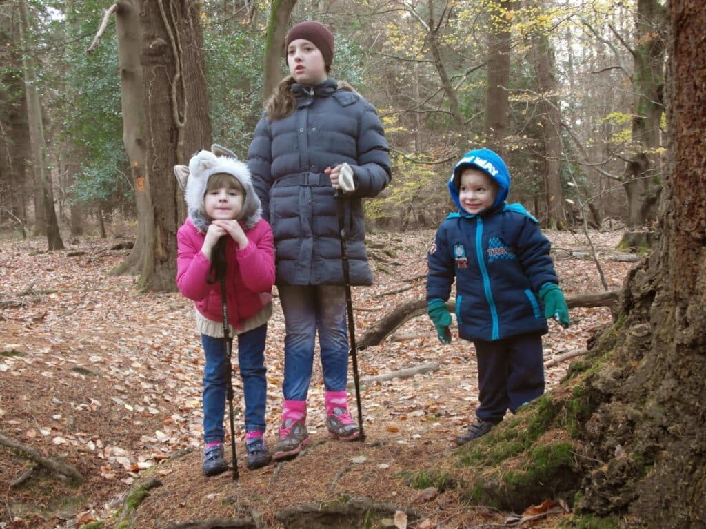 Three children stand in a forest with fallen leaves. The girl on the left wears a pink jacket, cat-ear hat, and holds a stick. The taller girl in the middle wears a blue coat and brown hat. The boy on the right wears a blue jacket and hood, smiling.