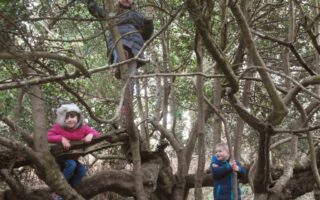 Three children are playing in a dense, leafless tree. One girl in a pink coat sits on a low branch, a child stands higher above her, and a boy in blue stands on the ground holding a branch. The background shows more trees and tangled branches.