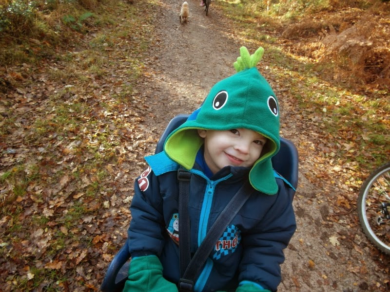 A young child wearing a dinosaur-themed green hood and blue jacket sits in a carrier on a forest path covered in fallen leaves. The child smiles at the camera. Part of a bicycle wheel and a dog walking ahead are visible in the background.