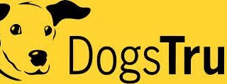 Logo for Dogs Trust featuring a simple black illustration of a dog’s face with floppy ears on a bright yellow background. The text “Dogs Trust” appears in bold black letters, with “Trust” emphasised in thicker font.