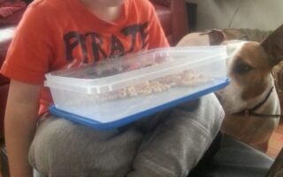 A young boy in a red "Pirate" shirt and grey tracksuit bottoms sits cross-legged on a black pouffe, smiling whilst holding a clear container of cereal. A brown and white dog stands next to him, looking curiously at the container.