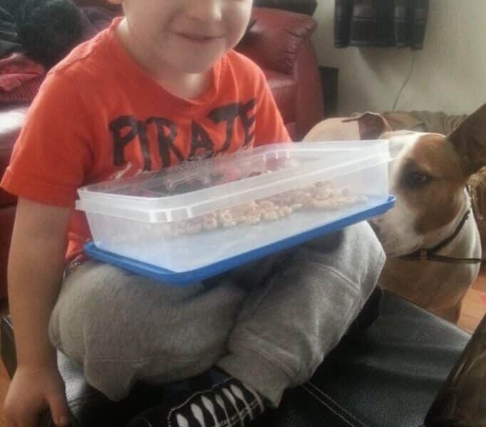 A young boy in a red "Pirate" shirt and grey tracksuit bottoms sits cross-legged on a black pouffe, smiling whilst holding a clear container of cereal. A brown and white dog stands next to him, looking curiously at the container.