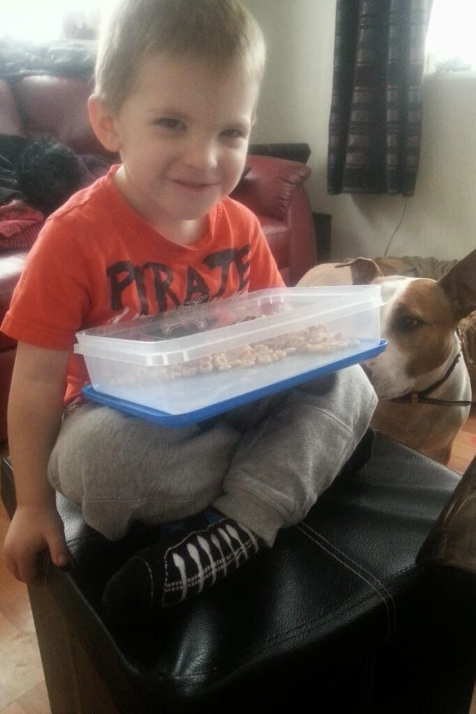 A boy sitting on a sofa holding a tub of cereal.