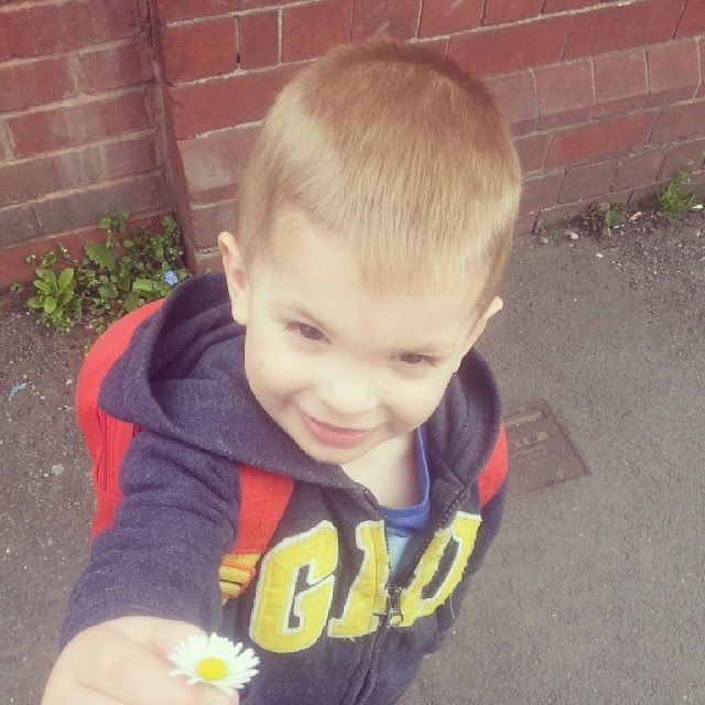 A young boy with short light brown hair, wearing a blue hoodie with yellow letters and a red rucksack, stands on a pavement near a brick wall, smiling and holding a small white daisy flower towards the camera.